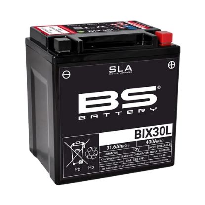 PictureAltAttribute - SLA-BIX30L-1-jpg